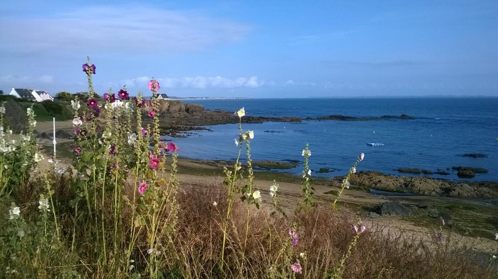 Ker-Ar-Mor Village Vacances Clohars-Carnoet Luaran gambar